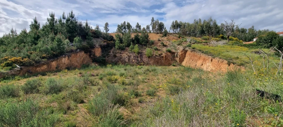 Terreno para Venda em Mação, Penhascoso e Aboboreira Foto 8