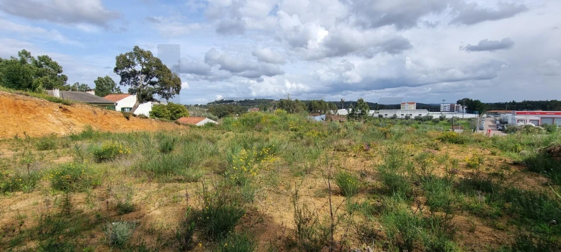 Terreno para Venda em Mação, Penhascoso e Aboboreira Foto 5