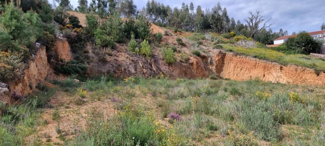 Terreno para Venda em Mação, Penhascoso e Aboboreira Foto 2