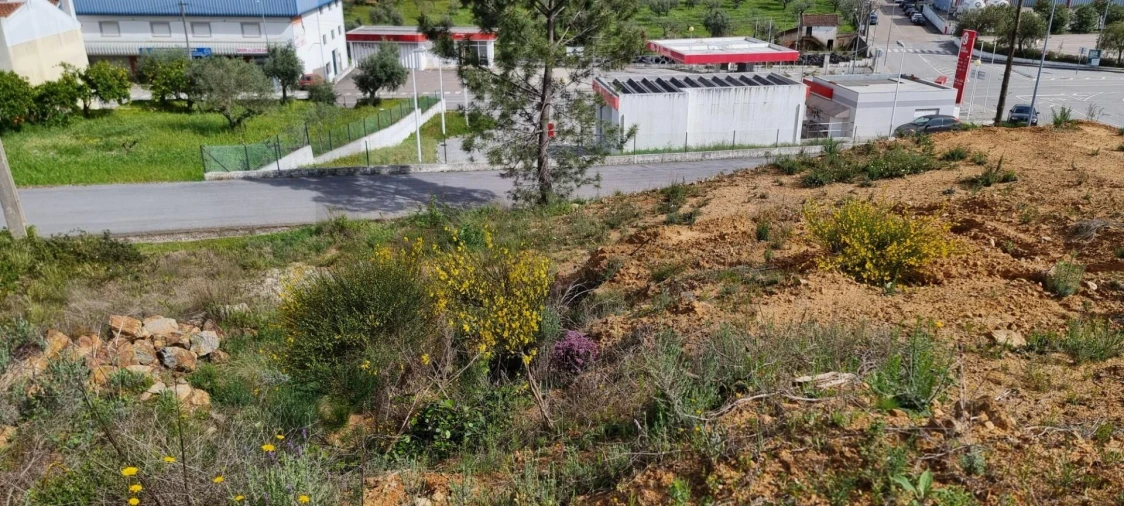 Terreno para Venda em Mação, Penhascoso e Aboboreira Foto 4