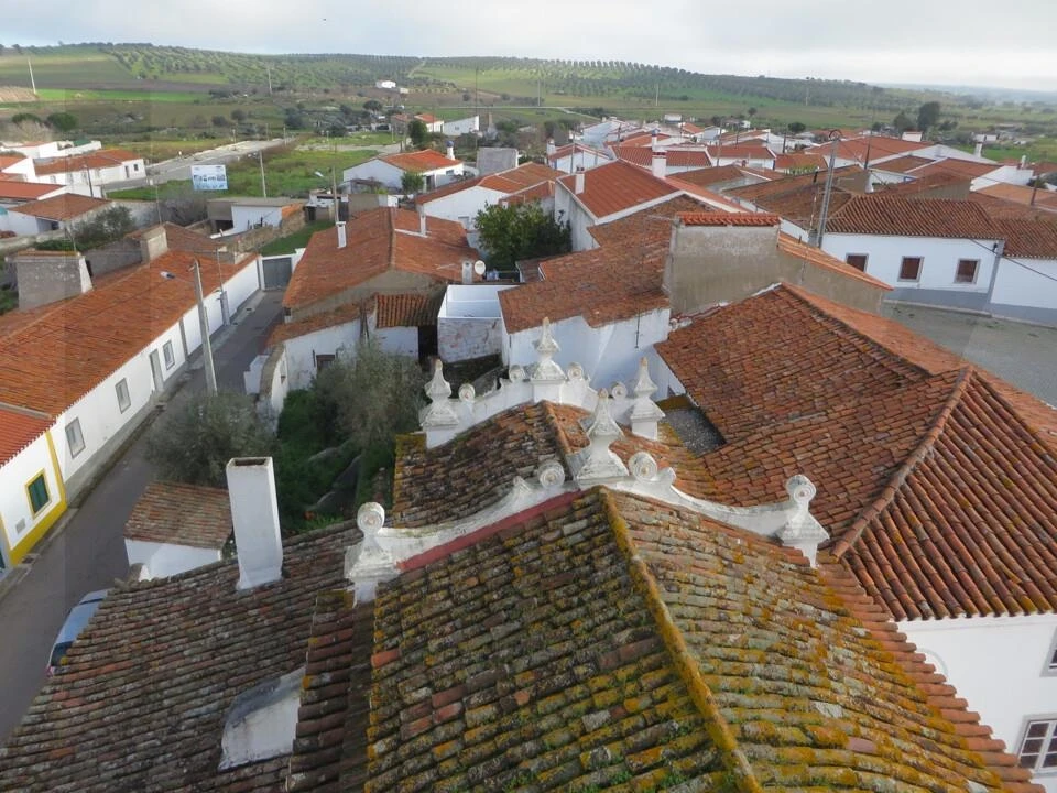 Terreno para Venda em Pedrogão Foto 3