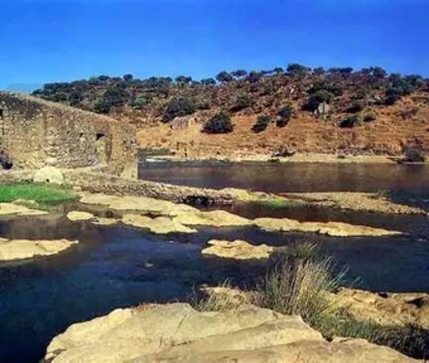 Terreno para Venda em Pedrogão Foto 9