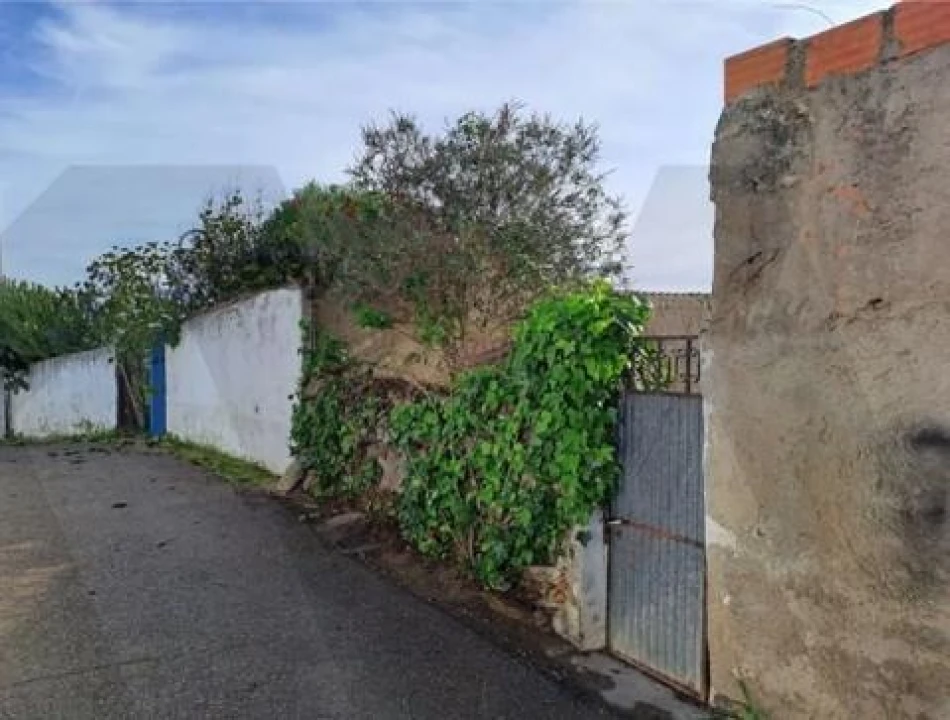 Terreno para Venda em Pedrogão Foto 3