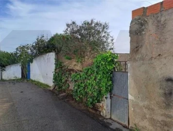 Terreno para Venda em Pedrogão