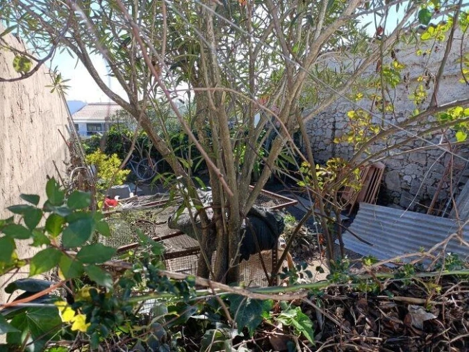 Terreno para Venda em Pedrogão Foto 4