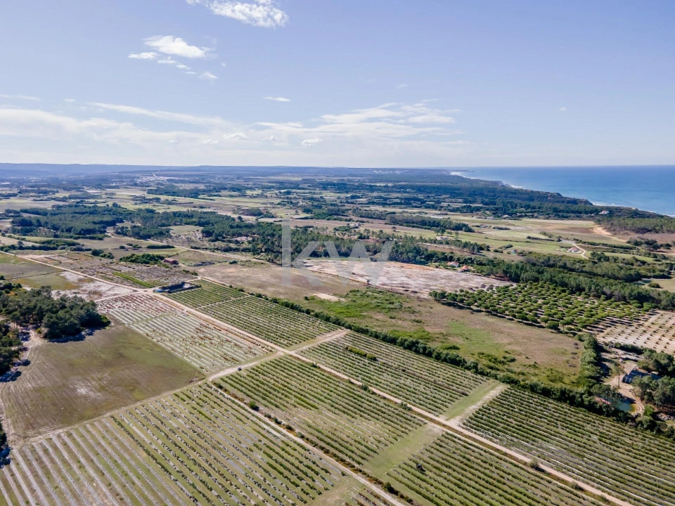 Quinta T5 para Venda em Rogil Foto 14