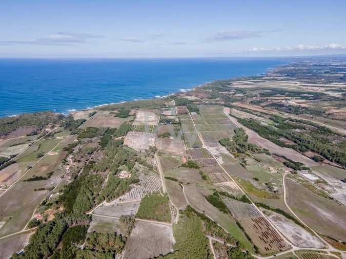 Quinta T5 para Venda em Rogil Foto 18