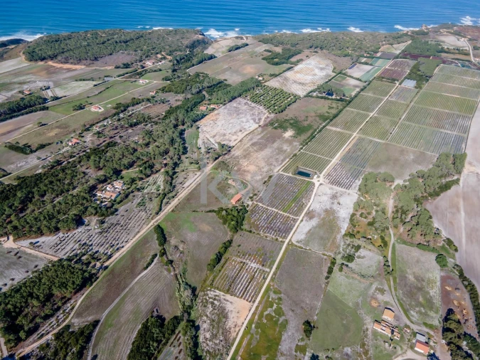 Quinta T5 para Venda em Rogil Foto 4