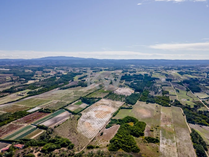 Quinta T5 para Venda em Rogil Foto 8