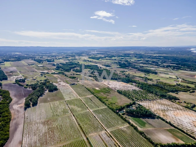 Quinta T5 para Venda em Rogil Foto 10