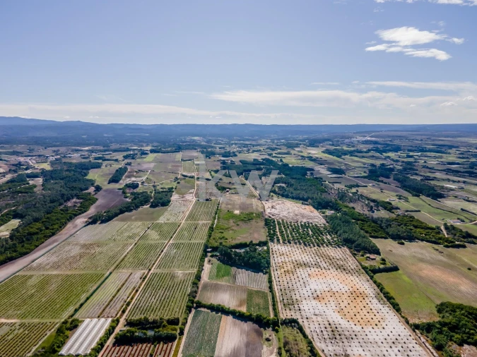 Quinta T5 para Venda em Rogil Foto 9