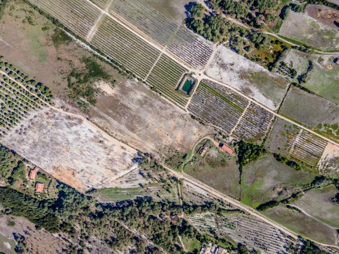 Quinta T5 para Venda em Rogil Foto 17