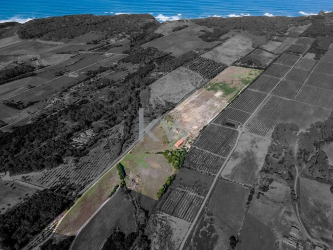 Quinta T5 para Venda em Rogil Foto 13