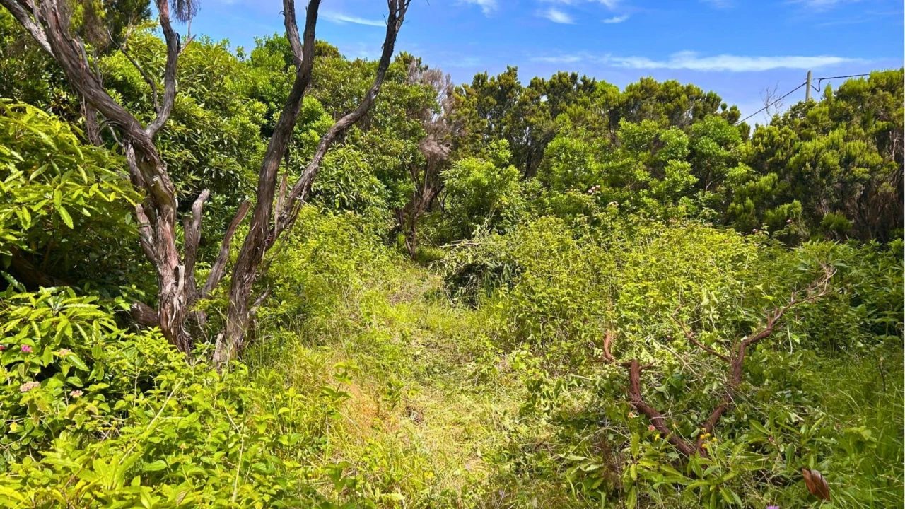 Terreno para Venda em Santo Antonio Foto 20