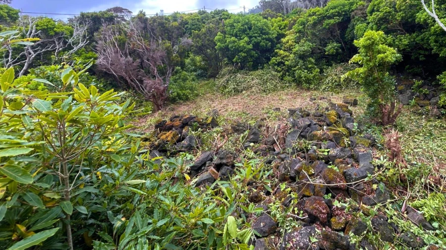 Terreno para Venda em Santo Antonio Foto 25