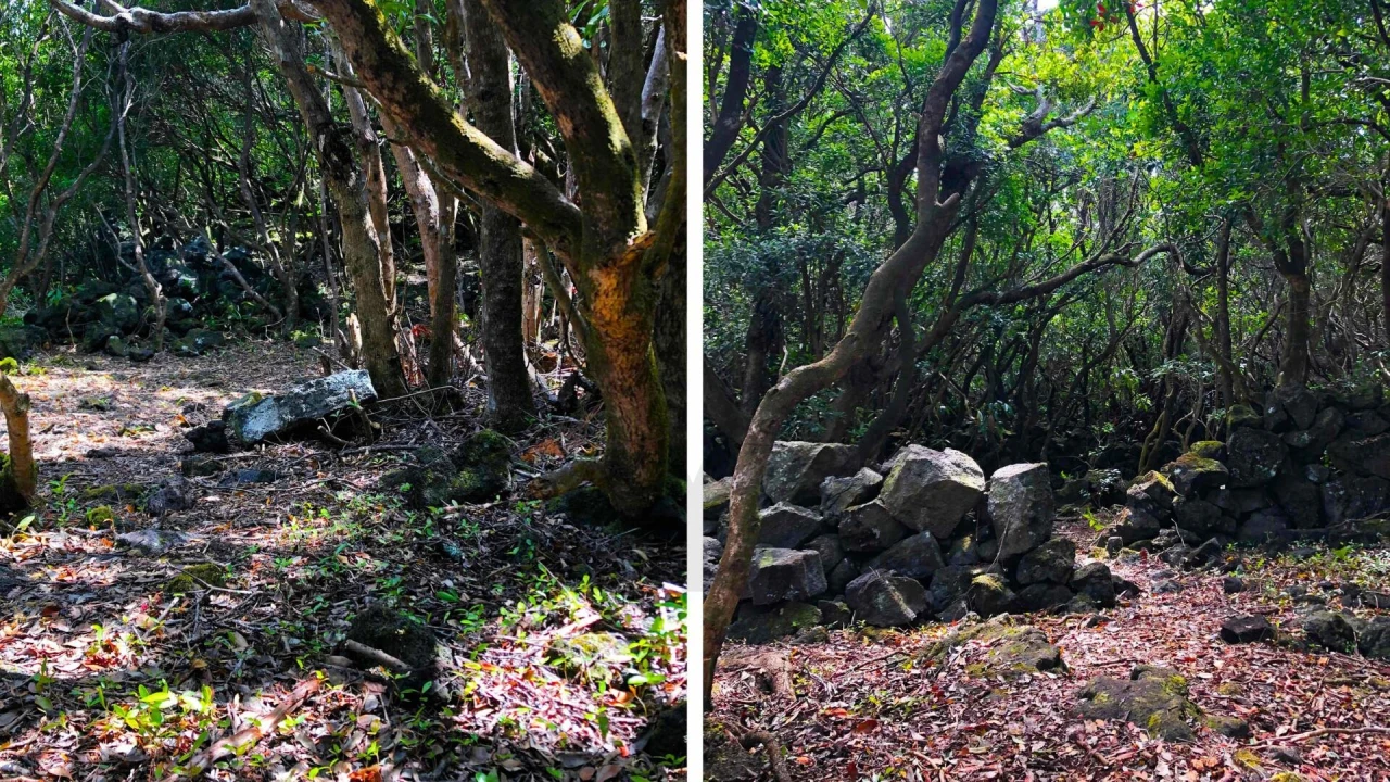 Terreno para Venda em Santo Antonio Foto 18