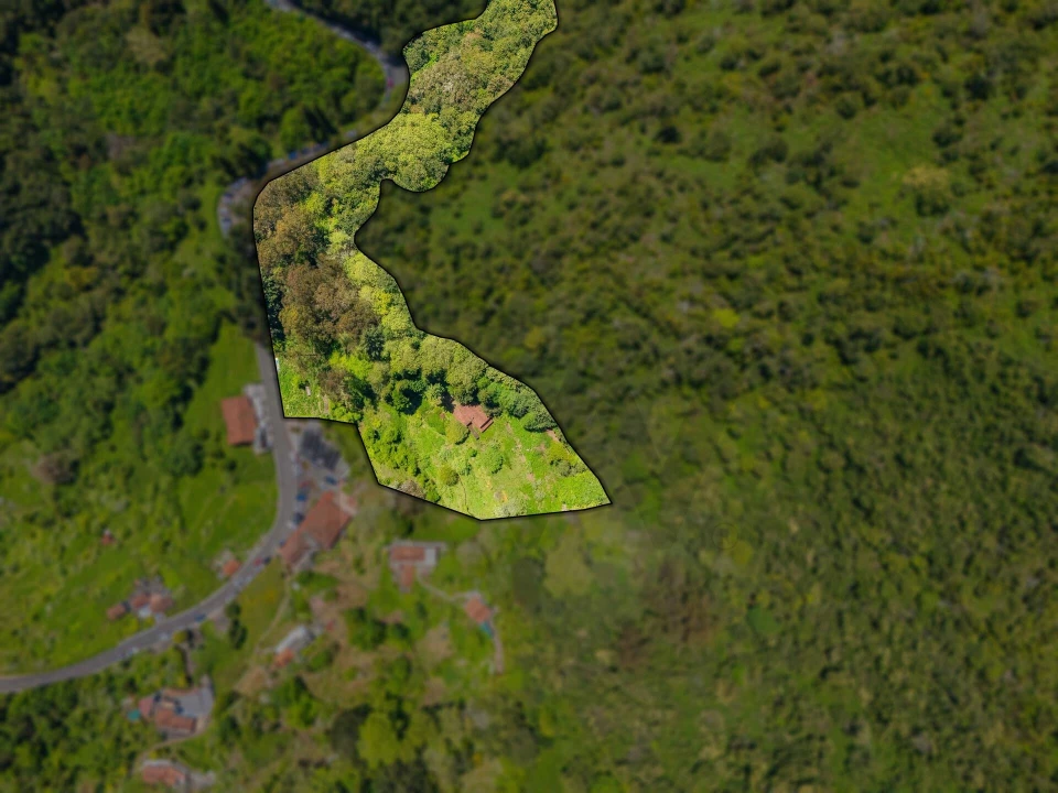 Moradia T3 para Venda em São Roque do Faial Foto 7