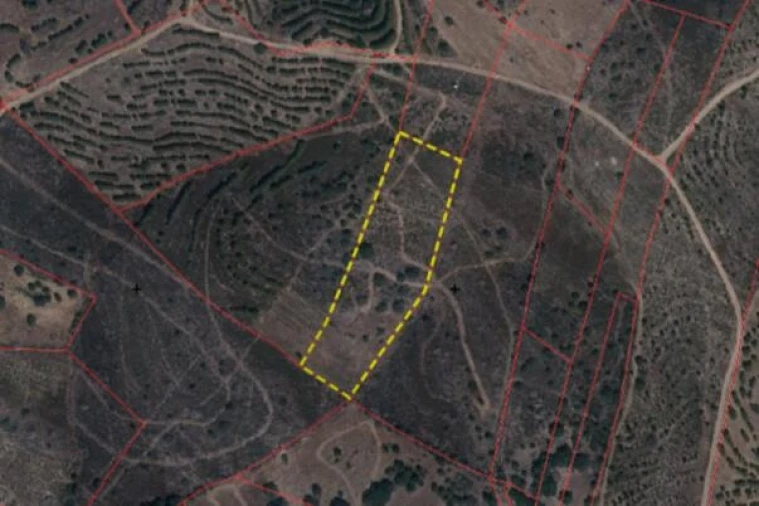 Terreno para Venda em Alcoutim e Pereiro Foto 1