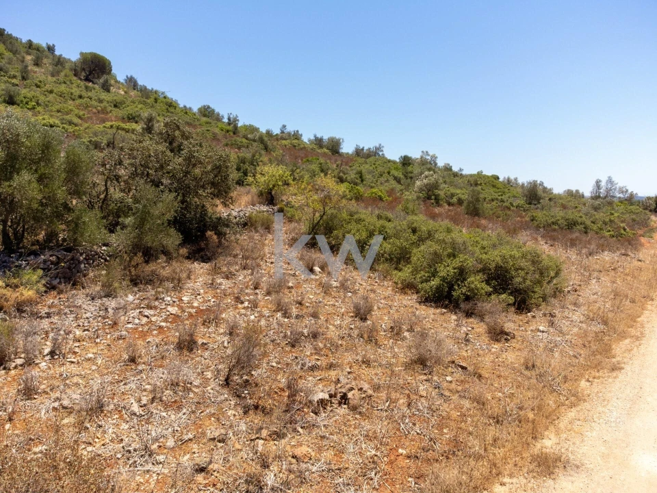 Terreno para Venda em São Bartolomeu de Messines Foto 19