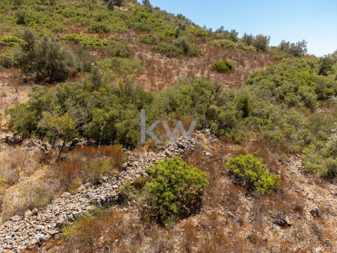 Terreno para Venda em São Bartolomeu de Messines Foto 15