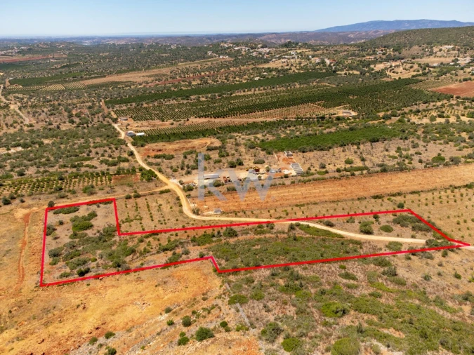 Terreno para Venda em São Bartolomeu de Messines Foto 4