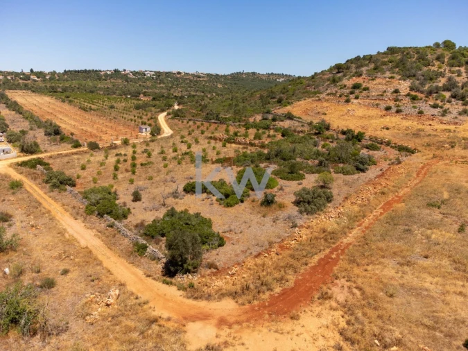 Terreno para Venda em São Bartolomeu de Messines Foto 8