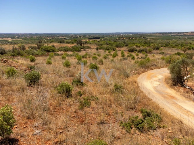 Terreno para Venda em São Bartolomeu de Messines Foto 18