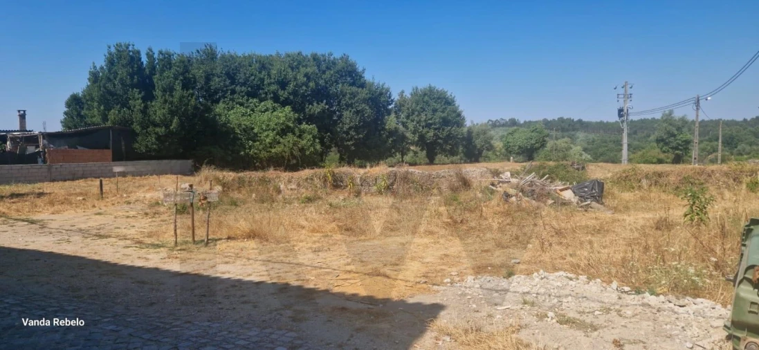 Terreno para Venda em Ázere e Covelo Foto 10