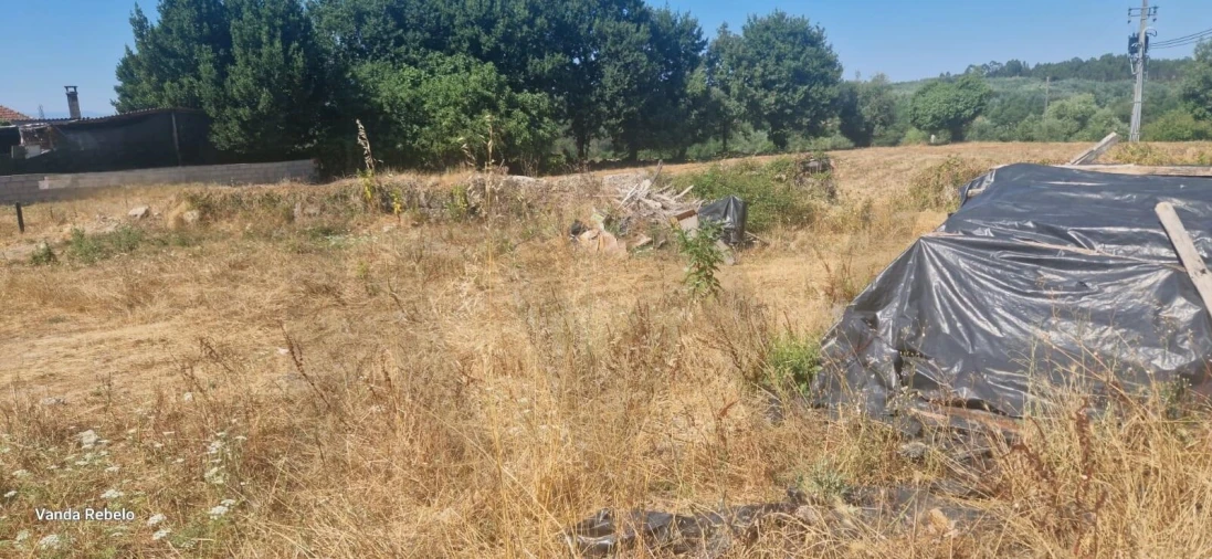 Terreno para Venda em Ázere e Covelo Foto 14