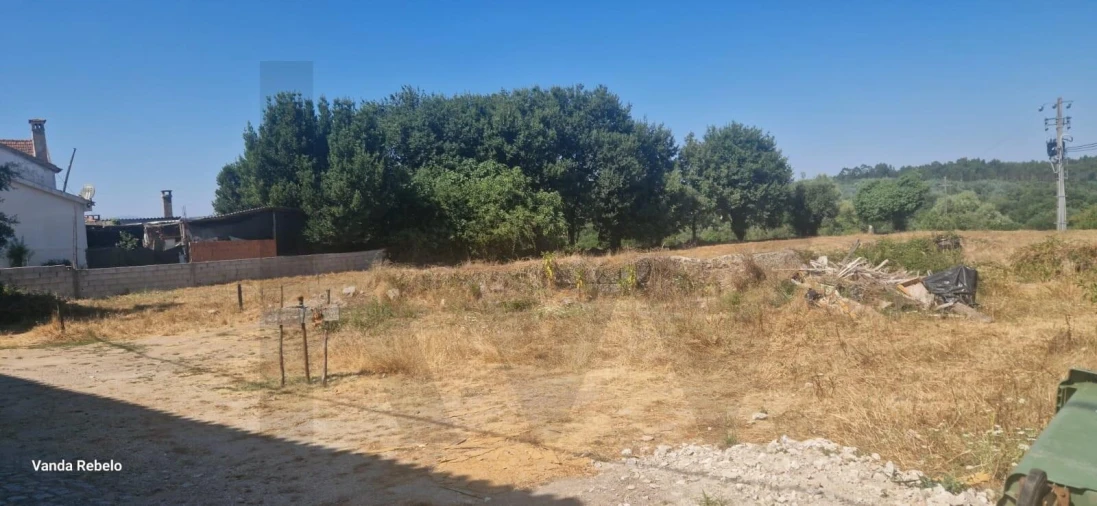 Terreno para Venda em Ázere e Covelo Foto 12