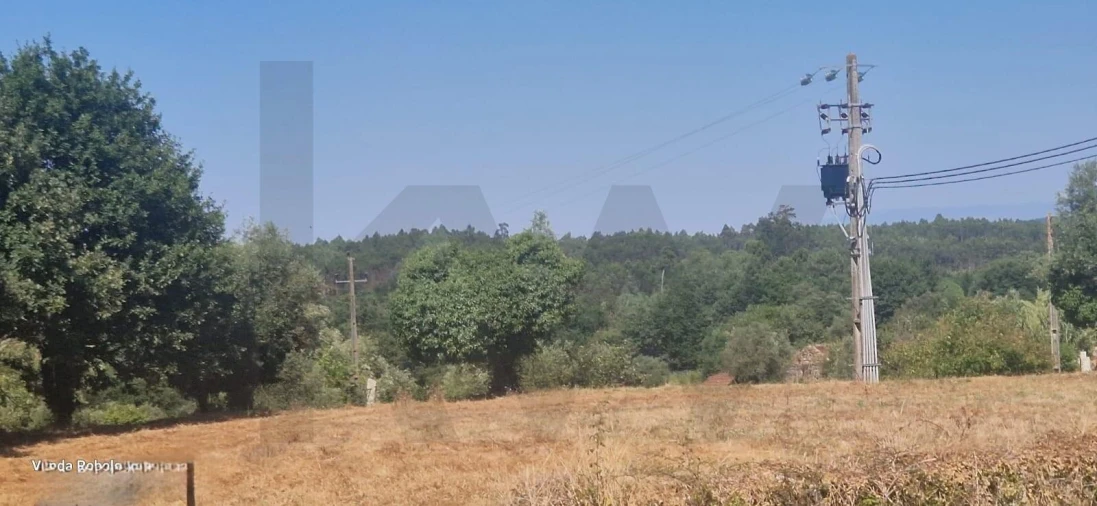 Terreno para Venda em Ázere e Covelo Foto 19