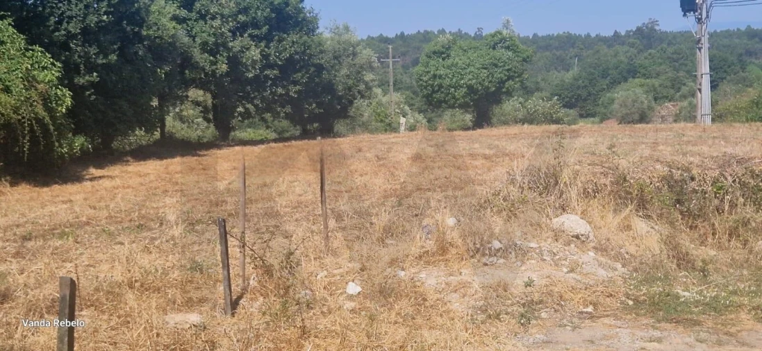 Terreno para Venda em Ázere e Covelo Foto 24