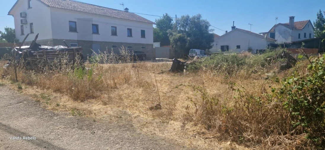 Terreno para Venda em Ázere e Covelo Foto 29