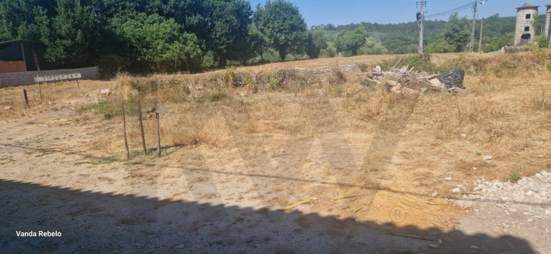 Terreno para Venda em Ázere e Covelo Foto 8