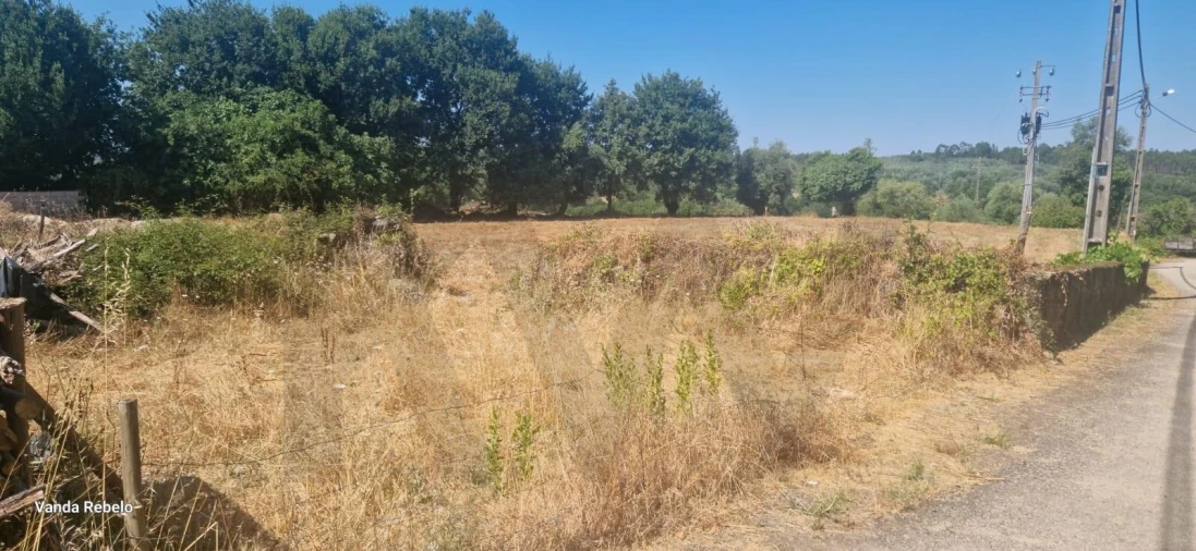 Terreno para Venda em Ázere e Covelo Foto 15