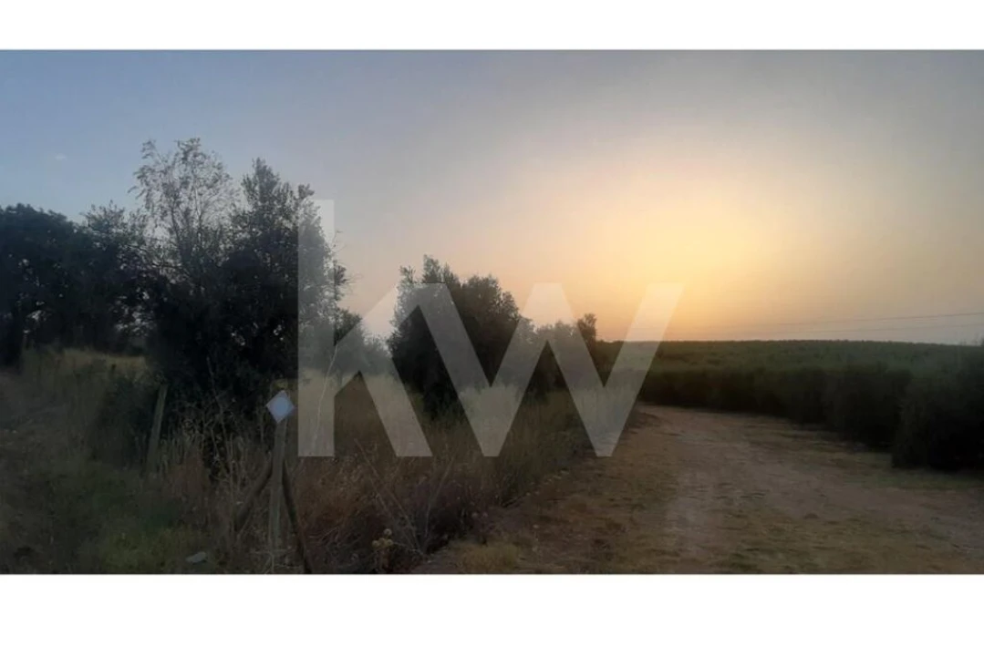 Terreno para Venda em Avis Foto 1