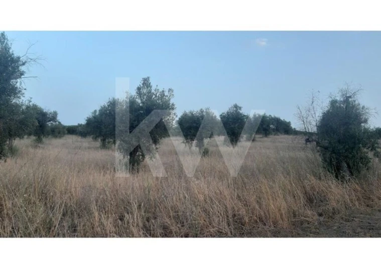 Terreno para Venda em Avis Foto 3