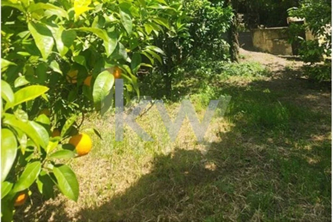 Terreno para Venda em Carcavelos e Parede Foto 4