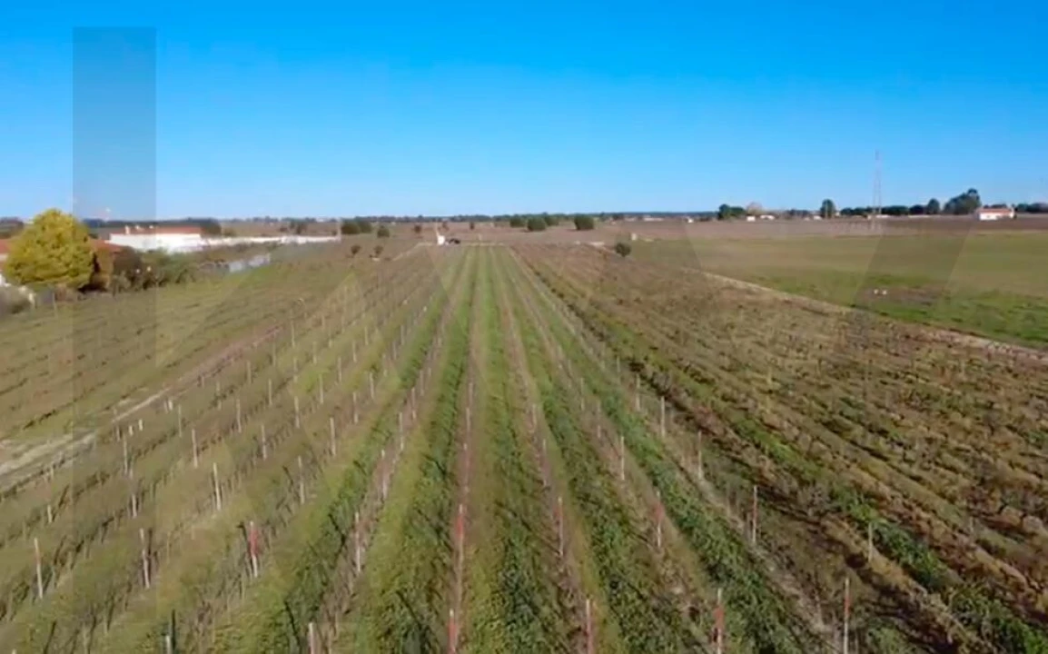Terreno para Venda em Poceirão e Marateca Foto 3