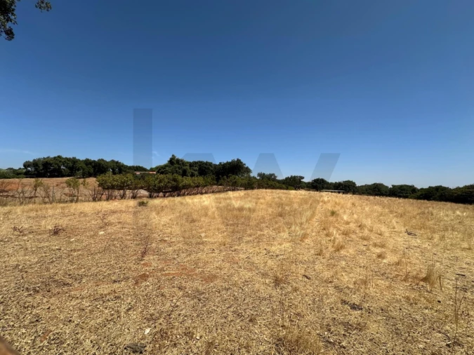 Terreno para Venda em Nossa Senhora da Conceição, São Brás dos Matos, Juromenha Foto 10