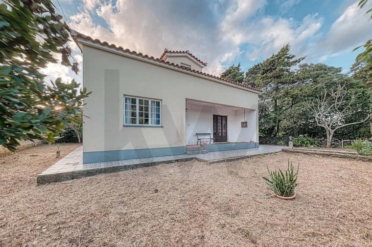 Moradia T3 para Venda em Fonte do Bastardo Foto 6