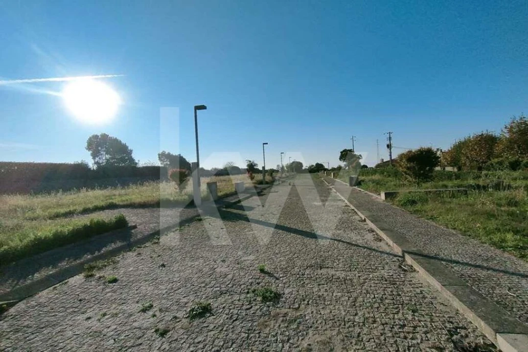 Terreno para Venda em Moledo e Cristelo Foto 7