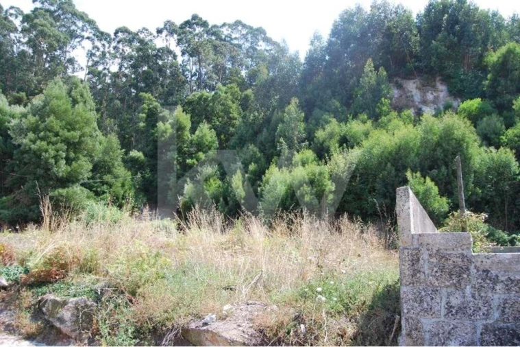 Terreno para Venda em Moledo e Cristelo Foto 12