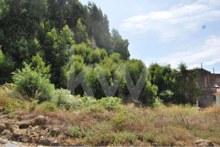 Terreno para Venda em Moledo e Cristelo Foto 17