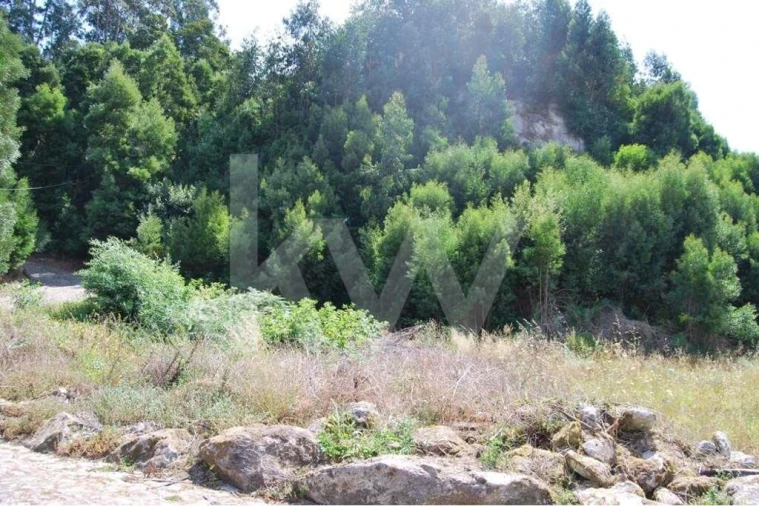 Terreno para Venda em Moledo e Cristelo Foto 16