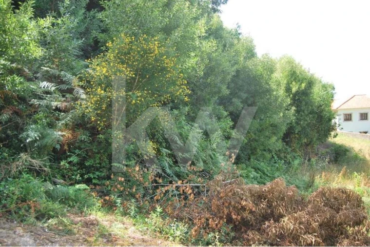 Terreno para Venda em Moledo e Cristelo Foto 15