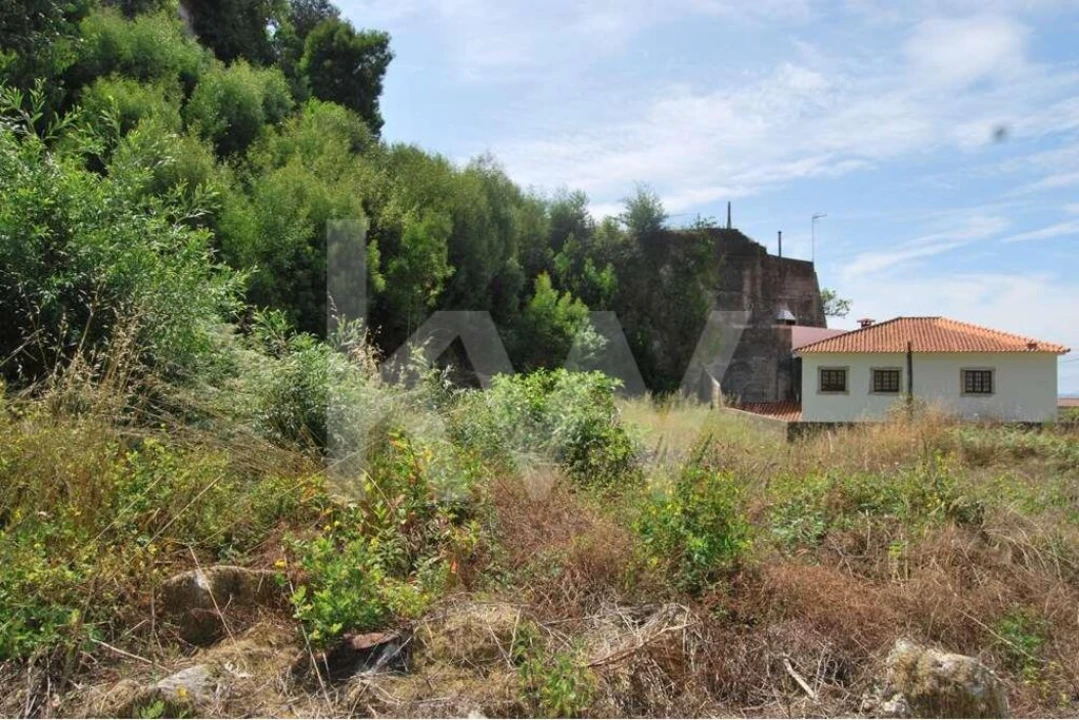 Terreno para Venda em Moledo e Cristelo Foto 14