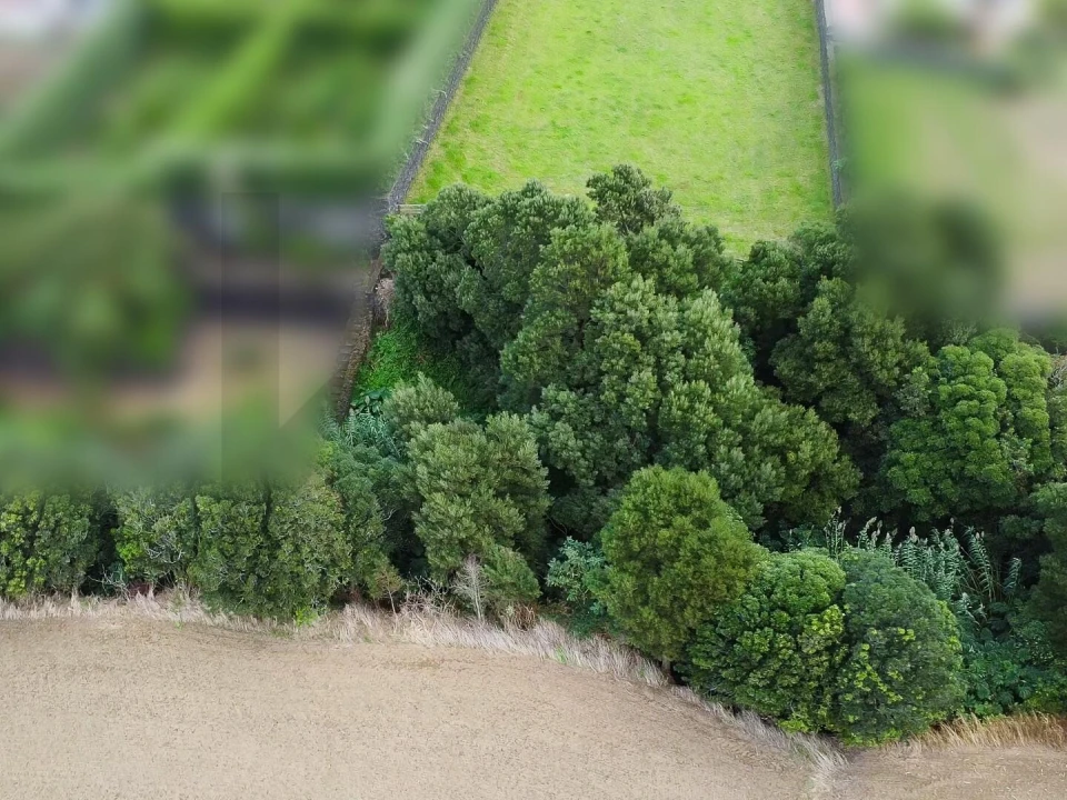 Terreno para Venda em Ribeira Seca Foto 15