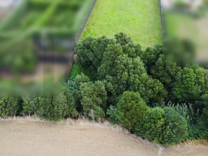 Terreno para Venda em Ribeira Seca Foto 15