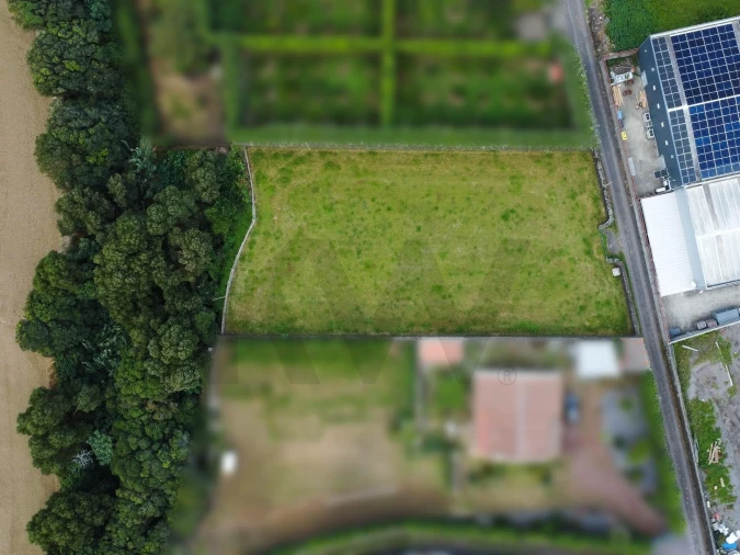 Terreno para Venda em Ribeira Seca Foto 6